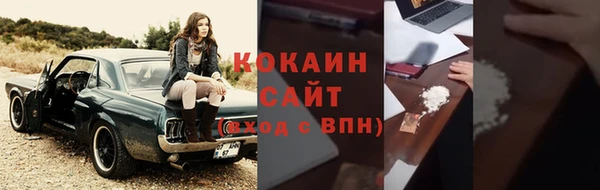 хмурый Магас